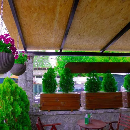 Natali Ohrid